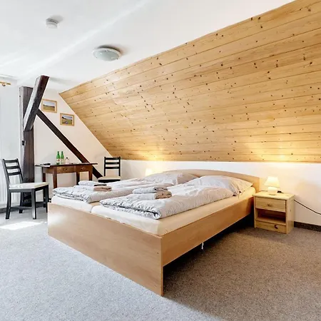 Pension Barborka Boží Dar Esterno foto